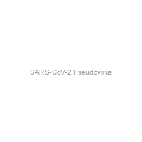 SARS-CoV-2 Pseudovirus